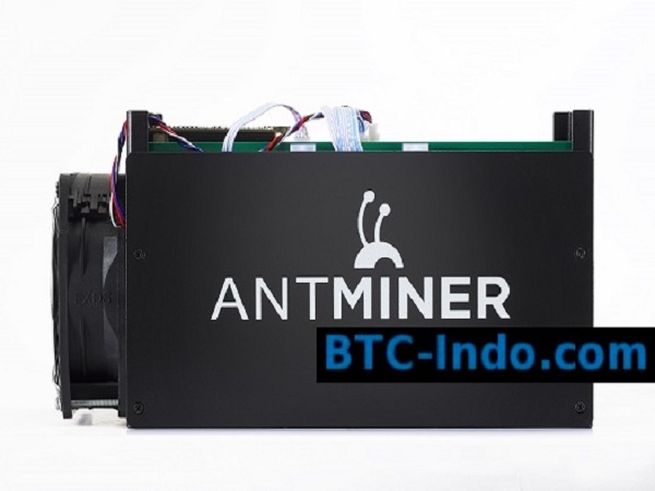 antminer s5 1 Terra Rp 8.000.000 